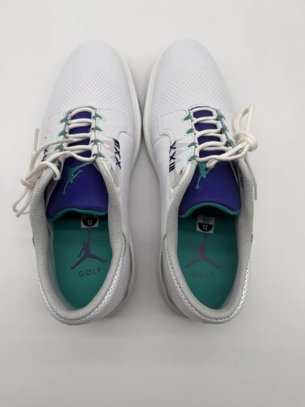 New Jordan ADG 5 Golf Shoes Men's Size 12 White Grape Ice Spikeless FQ6642 100